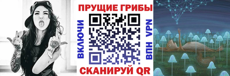 как найти наркотики  Вязьма  Псилоцибиновые грибы MAGIC MUSHROOMS 