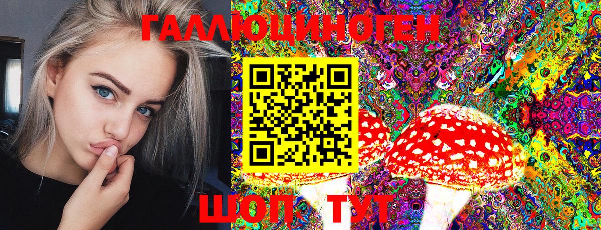 Псилоцибиновые грибы Psilocybine cubensis Вязьма